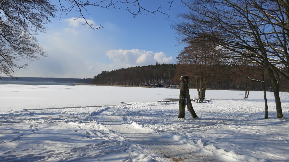stechlinsee winter
